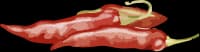 chilli-1
